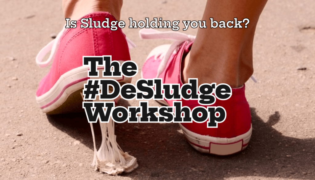 DeSludge Workshop