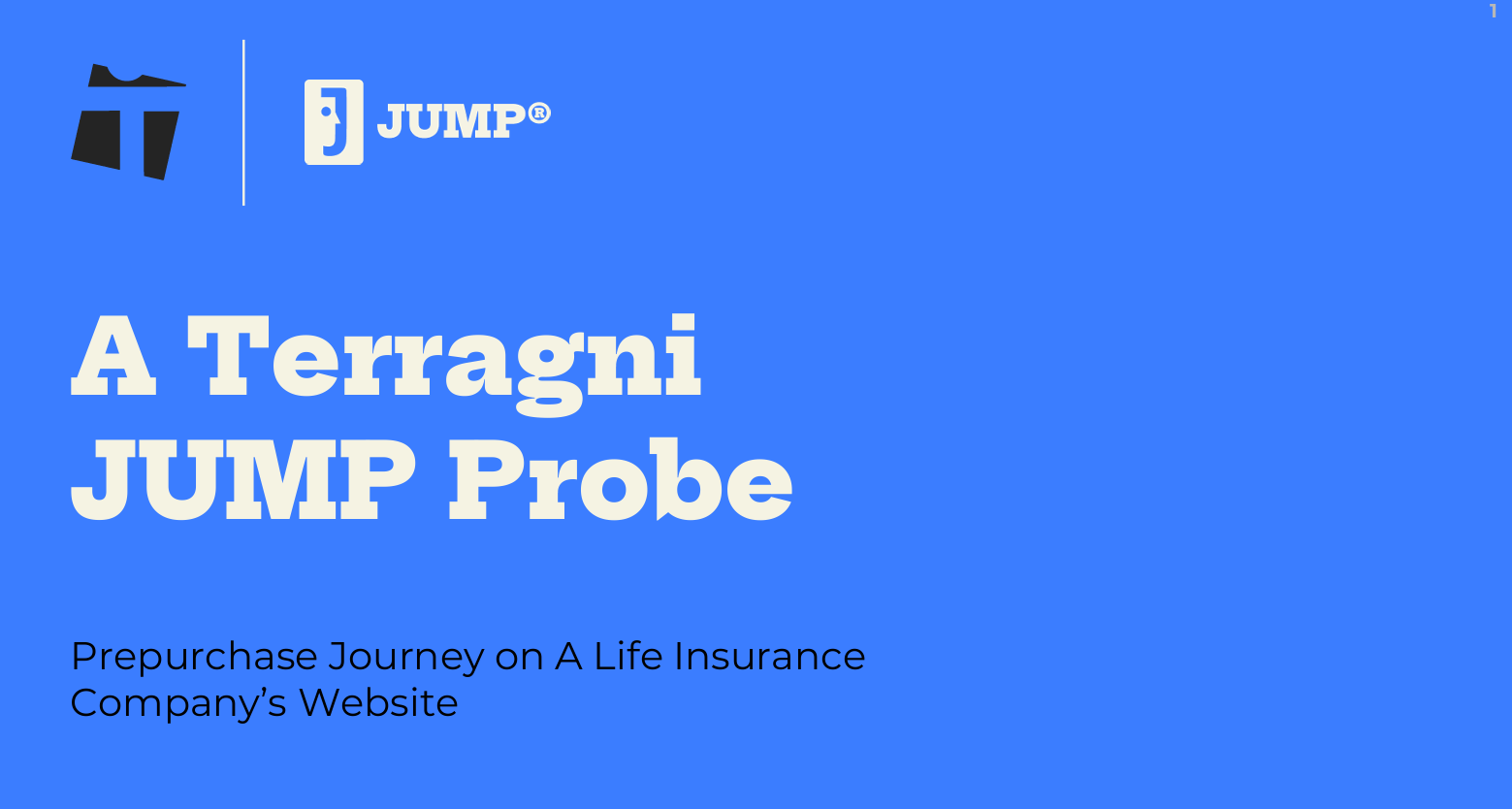 Prepurchase Journey on A Life Insurance Company’s Website